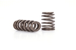 Valve Springs, 1.240" Beehive